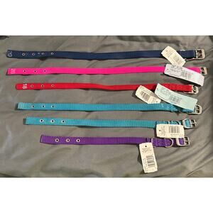 🔥Hamilton Products Dog Collar Lot (6 Collars) BNWT🔥